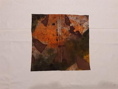batik bau (176)